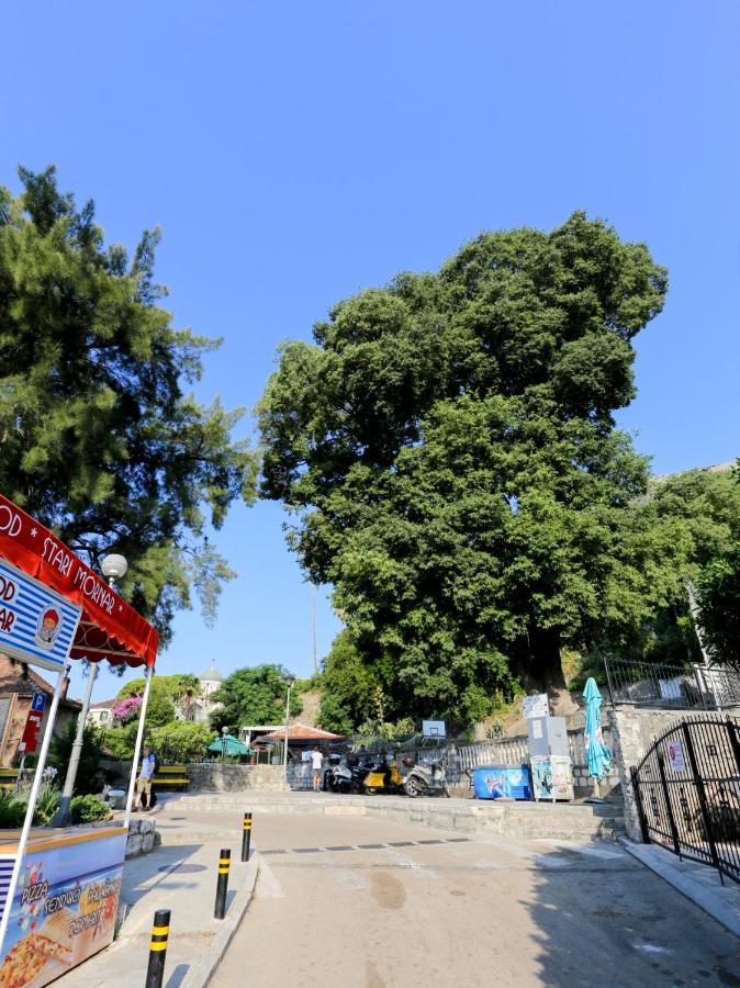 Smjestaj Djurdjevic Apartment Herceg Novi Exterior foto